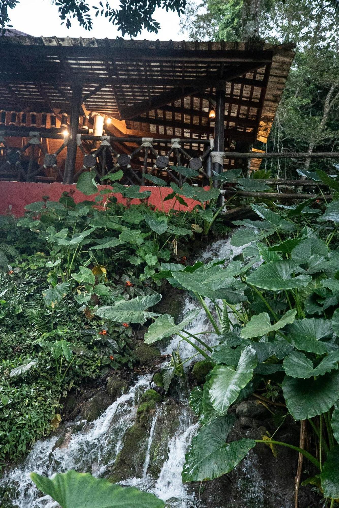 Platon Ecolodge Barahona Buitenkant foto