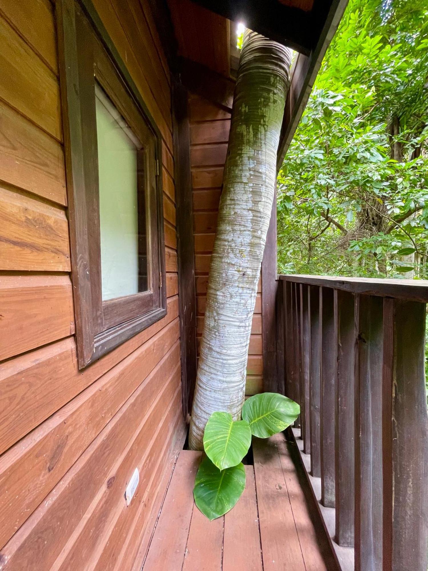Platon Ecolodge Barahona Buitenkant foto